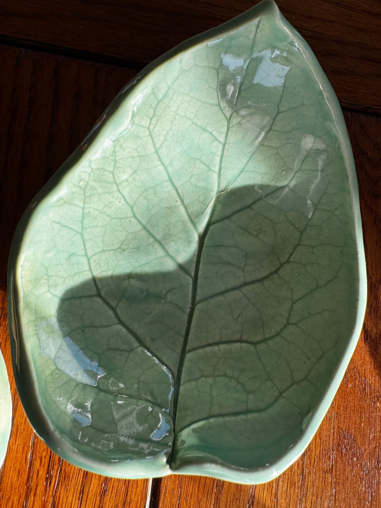 Ceramic Leaf Duo