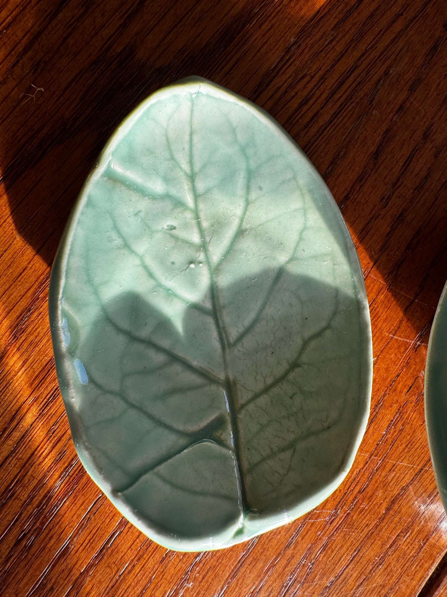 Ceramic Leaf Duo