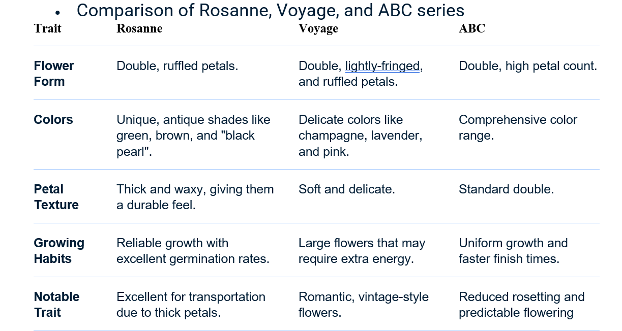 Lisianthus-Voyage Champagne